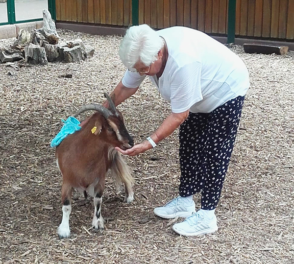 Seniorin füttert eine Ziege im Altenburger Inselzoo