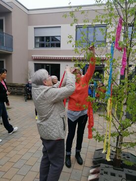 Maibaum