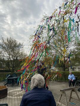 Maibaum setzen