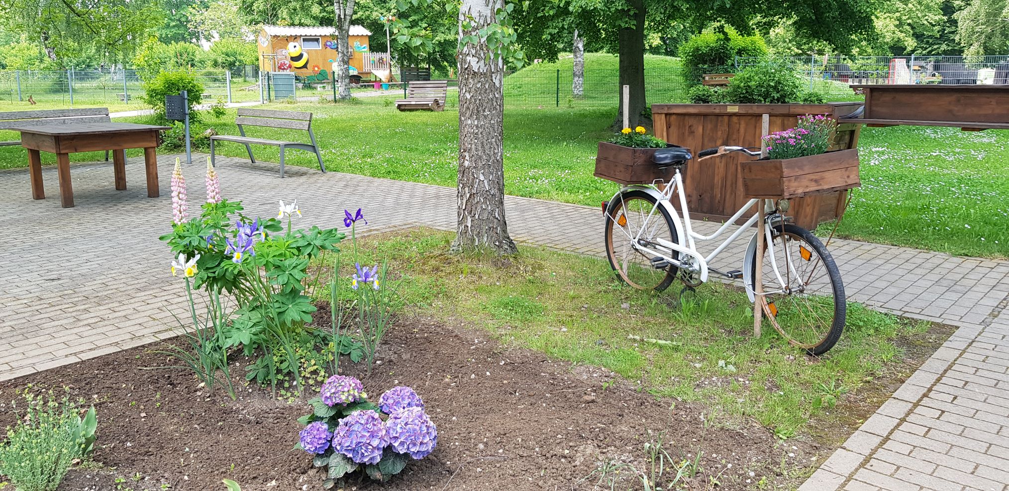 Blick in den Garten