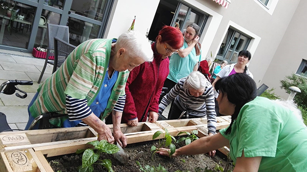 Wir bepflanzen unser Hochbeet